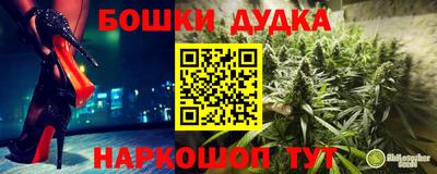 гидропоника Новодвинск