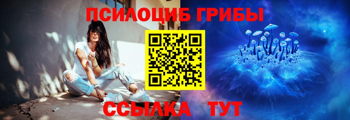 Тихорецк  Галлюциногенные грибы Magic Shrooms  Вход с VPN 